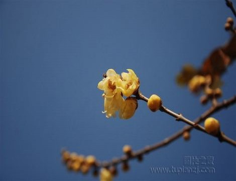 刘梦珂真实年龄