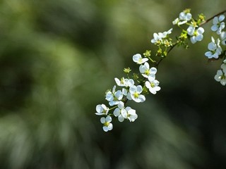 十大惊艳港产片