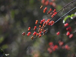 女手浮教程视频免费网页