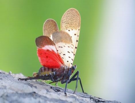 小草影视传媒