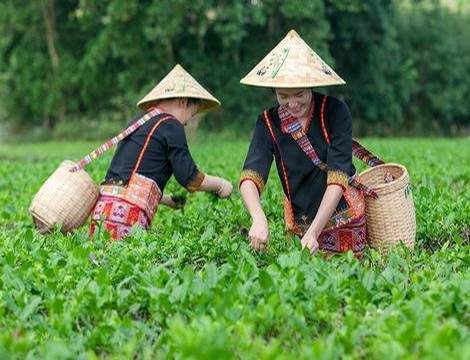 怎么知道破没破膜