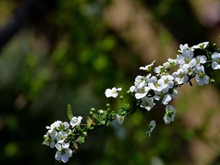 成都噼啪传媒有限公司招聘