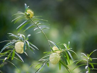 日发精机吧