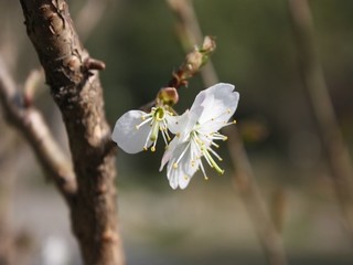 洗浴中心洗荤澡流程