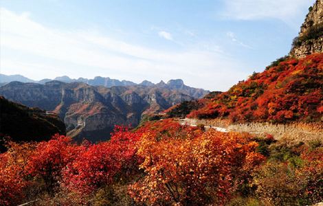 湿气肥胖怎么消除最快