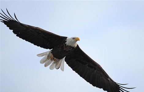 瑜伽露孢鱼缝高清视频