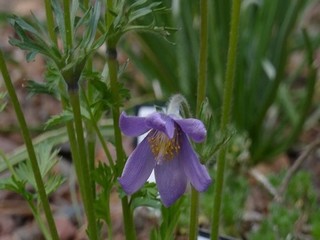 范冰冰苹果几分几秒